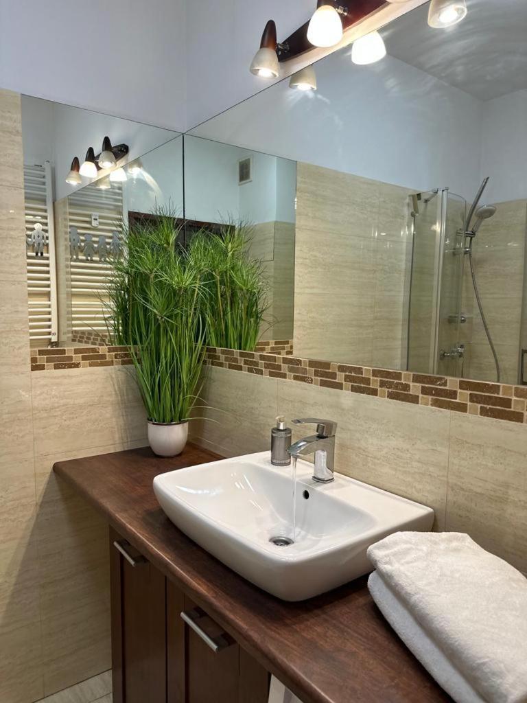 Apartament przy Rynku Poznań Zewnętrze zdjęcie
