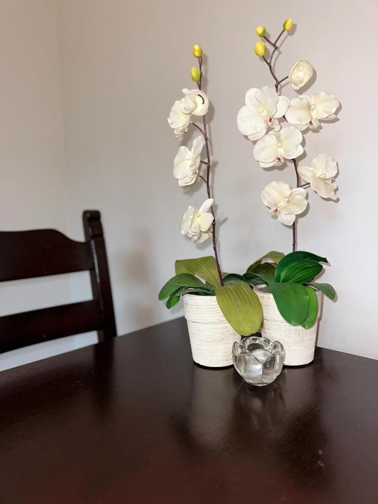 Apartament przy Rynku Poznań Zewnętrze zdjęcie